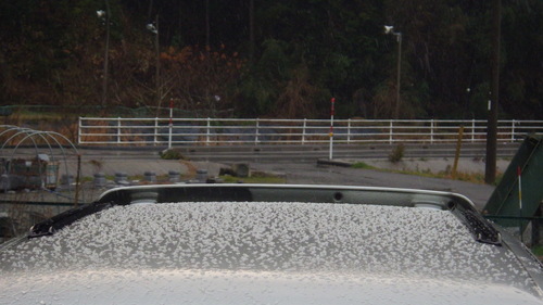 c0300035_20383414.jpg