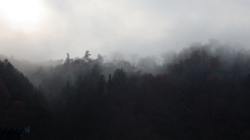 c0300035_2041177.jpg