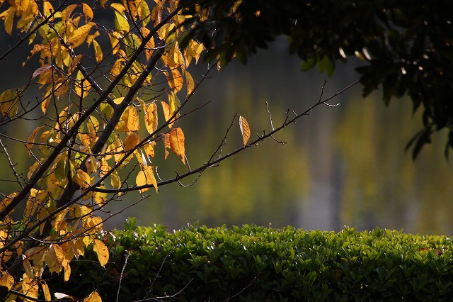 a0242438_20294081.jpg