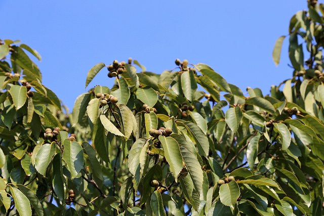a0242438_20304275.jpg