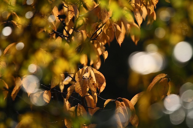 a0242438_20315581.jpg