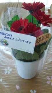 f0183340_7344289.jpg