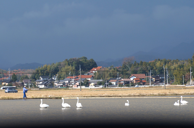 f0214649_2116521.jpg