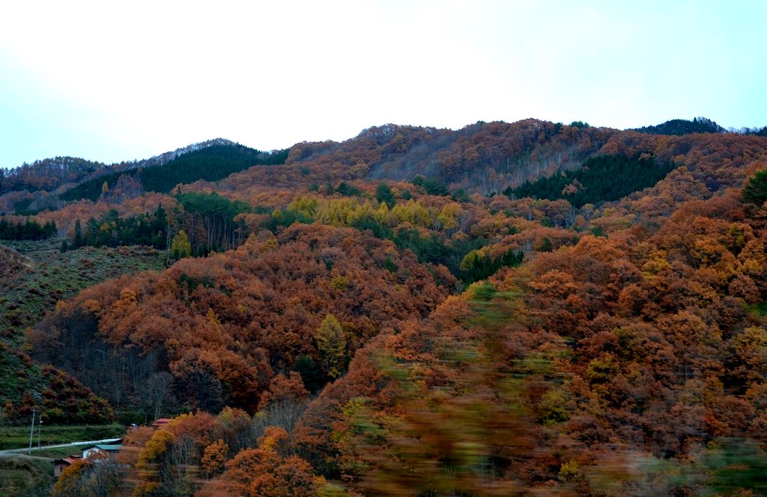 a0055650_0373522.jpg