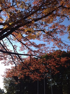e0123951_17344957.jpg