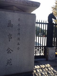 e0123951_1746455.jpg