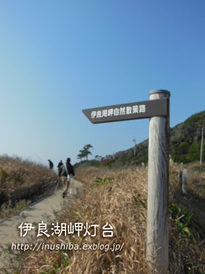 a0286855_1335966.jpg