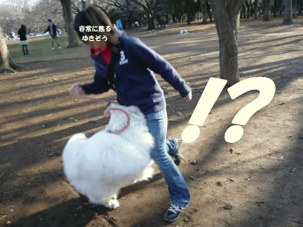 e0176159_1541362.gif