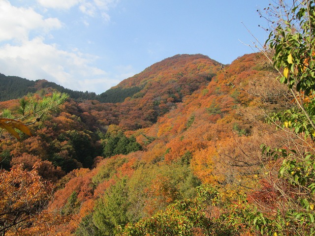 f0057070_22304222.jpg