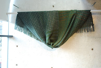 a0133886_17265350.jpg