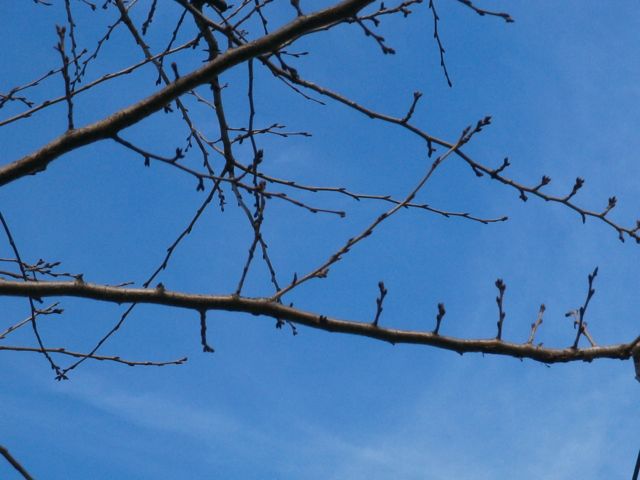 f0130894_20581167.jpg