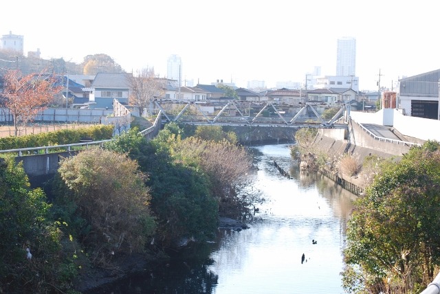 e0025300_11514624.jpg