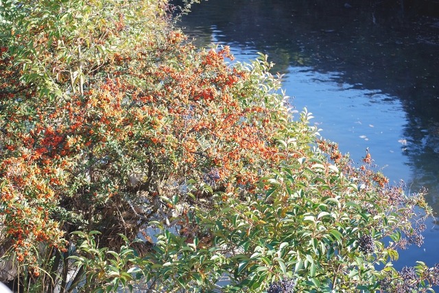 e0025300_126042.jpg