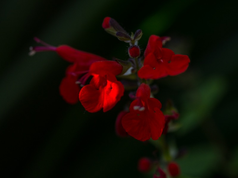 f0224100_20131130.jpg
