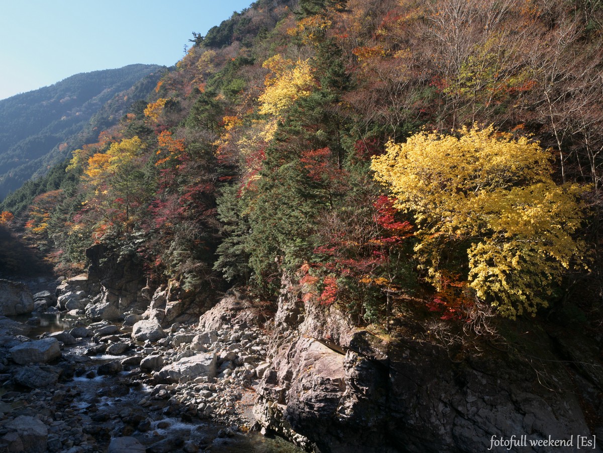 b0138101_11401458.jpg