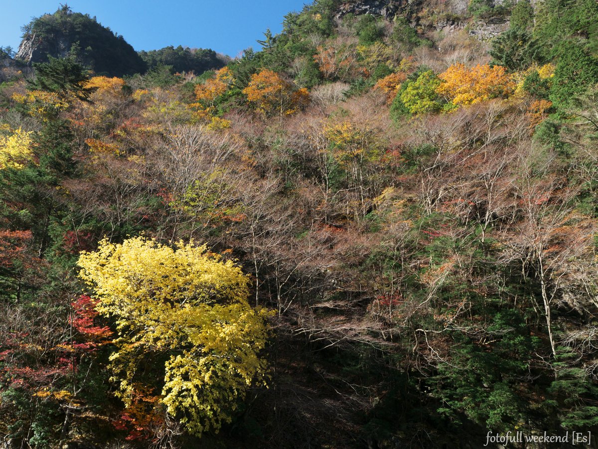 b0138101_11402155.jpg