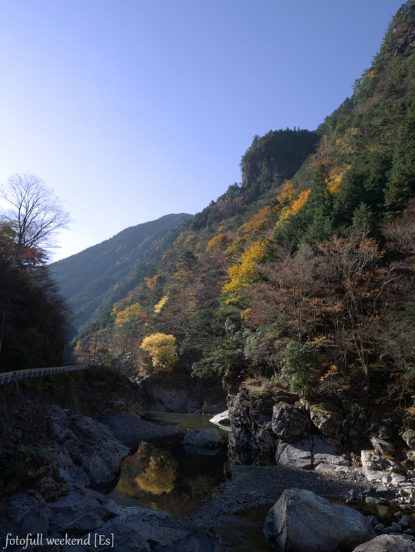 b0138101_11402747.jpg