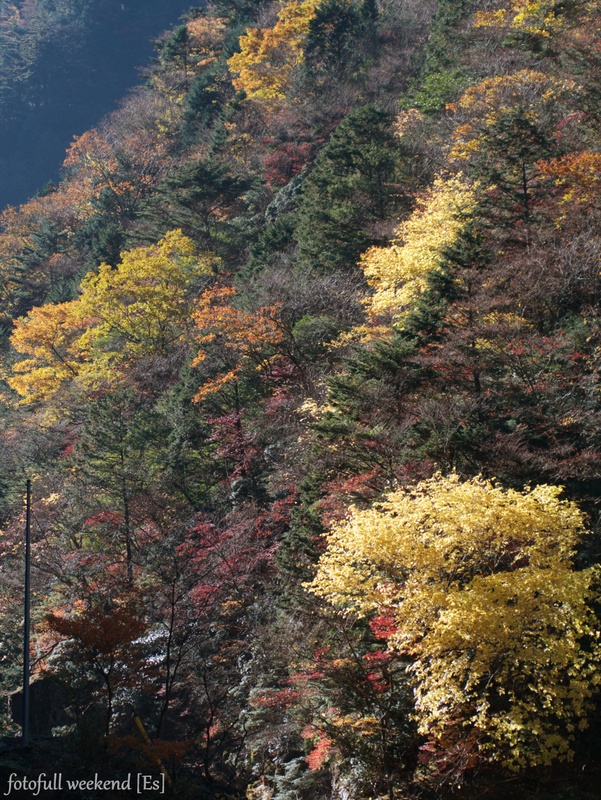 b0138101_1140315.jpg