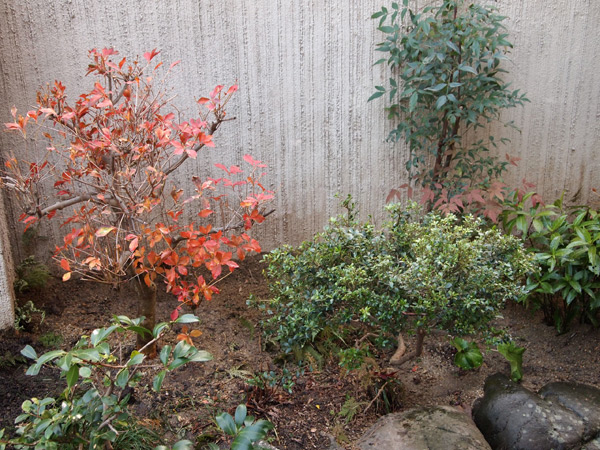 a0139105_0352945.jpg