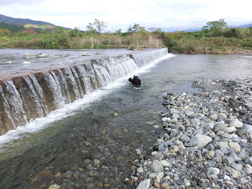 b0239909_21474682.jpg
