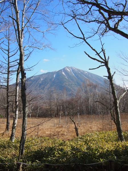 b0244811_013162.jpg
