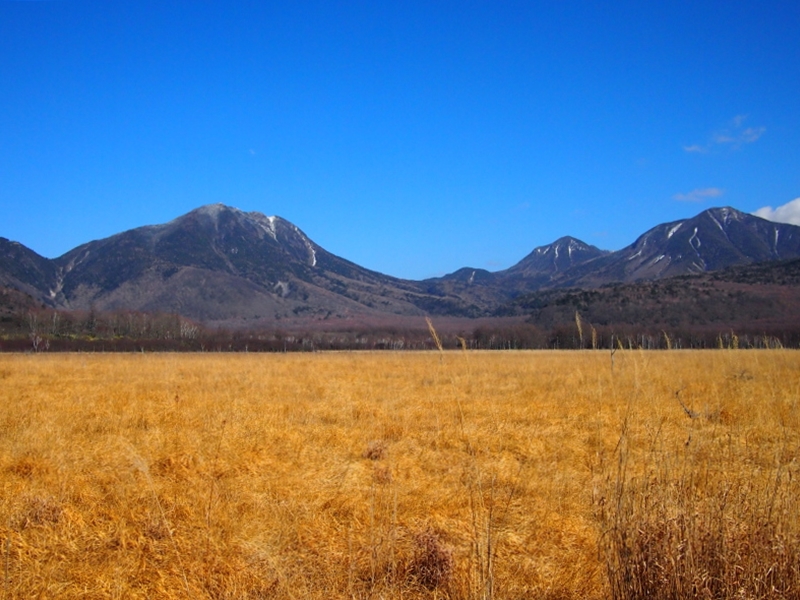b0244811_065681.jpg