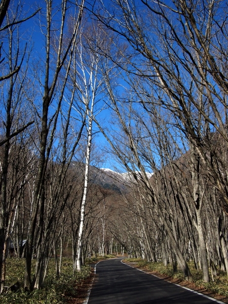 b0244811_992727.jpg