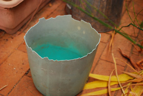 f0000211_20202471.jpg