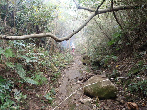 c0223419_11542571.jpg