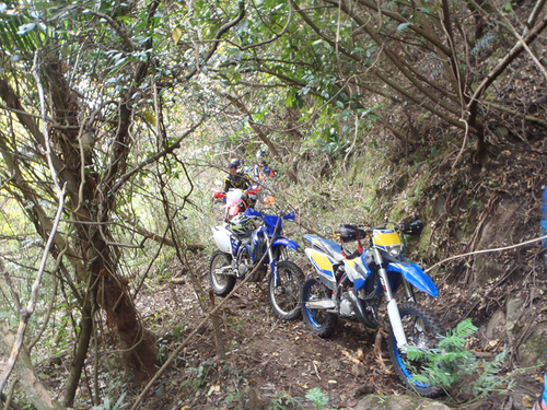 c0223419_11584064.jpg