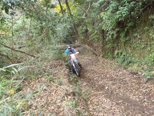 c0223419_1203134.jpg