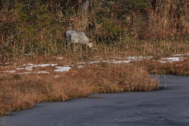 e0242721_851795.jpg