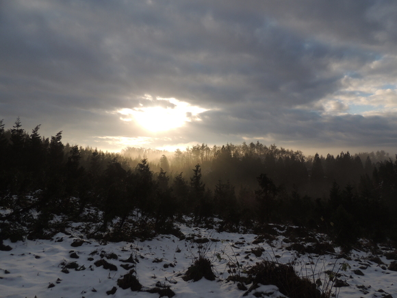 f0118332_1529329.jpg