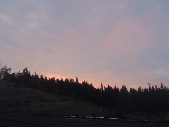 f0118332_1530217.jpg