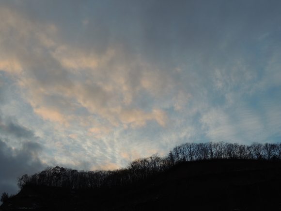 f0118332_1530298.jpg