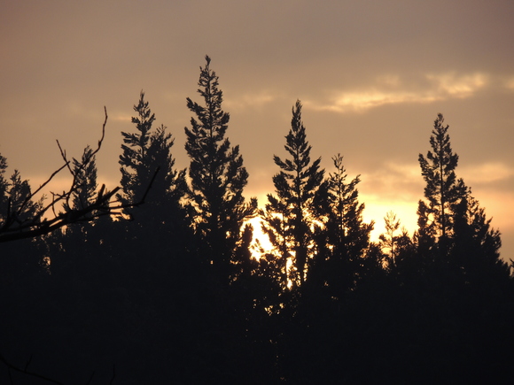f0118332_1532449.jpg