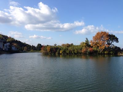 f0311233_13394731.jpg