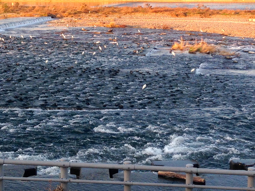 d0013834_1322134.jpg