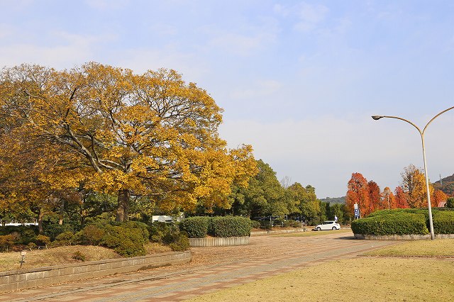 a0242438_182629100.jpg
