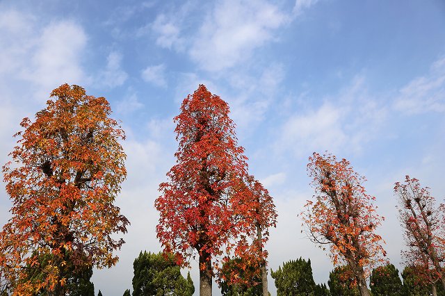 a0242438_18263499.jpg
