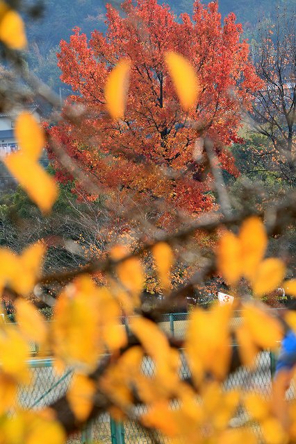 a0242438_1827050.jpg