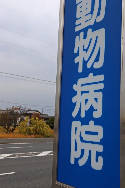 a0242438_1827447.jpg