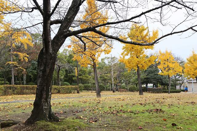 a0242438_1828147.jpg