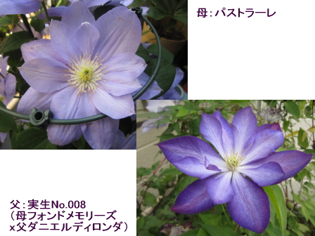 c0025140_222176.jpg