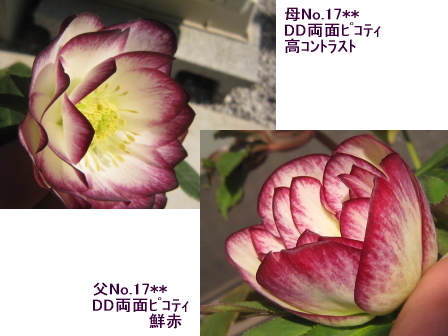c0025140_2231373.jpg