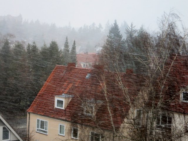 f0210340_5134333.jpg