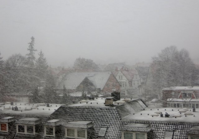 f0210340_591636.jpg
