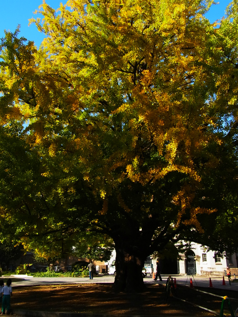 a0087341_12295350.jpg