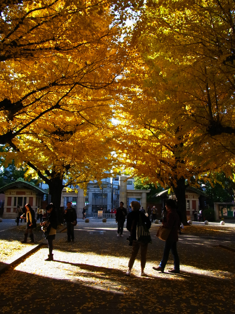 a0087341_12303373.jpg