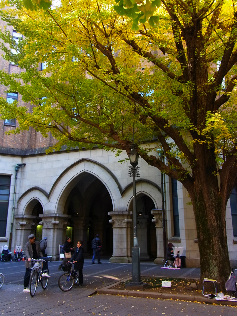 a0087341_12304870.jpg